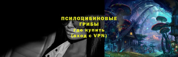 бошки Зерноград