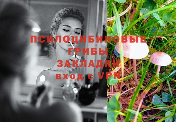бошки Зерноград