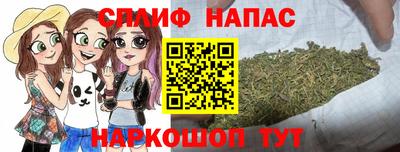 индика Бузулук
