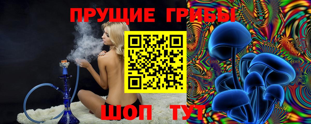 Псилоцибиновые грибы Psilocybe Славянск-на-Кубани