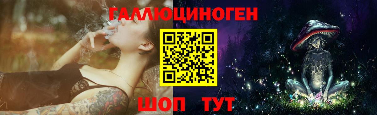 Славянск-на-Кубани  Псилоцибиновые грибы мухоморы  Вход с VPN 